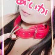 ヒメ日記 2025/06/29 16:27 投稿 あいか 逢って30秒で即尺