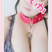 ヒメ日記 2025/11/02 12:06 投稿 あいか 逢って30秒で即尺