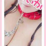 ヒメ日記 2025/11/30 19:15 投稿 あいか 逢って30秒で即尺