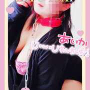 ヒメ日記 2026/03/27 19:19 投稿 あいか 逢って30秒で即尺