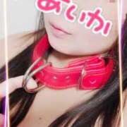 ヒメ日記 2026/03/31 17:55 投稿 あいか 逢って30秒で即尺