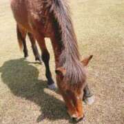 ヒメ日記 2026/01/02 04:46 投稿 ももこ 尼妻（あまづま）