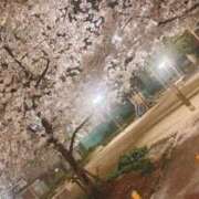 ヒメ日記 2026/03/31 12:54 投稿 ももこ 尼妻（あまづま）