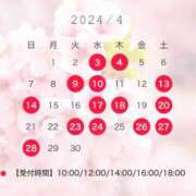 ヒメ日記 2024/03/17 09:30 投稿 今井　みやび シェルクラブ・ウエスト