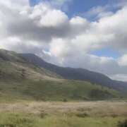 ヒメ日記 2025/11/07 11:31 投稿 野風 東京美人妻