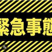 ヒメ日記 2026/04/29 12:47 投稿 野風 東京美人妻