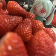 ヒメ日記 2025/03/13 15:49 投稿 伊波 いちごみるく（日本橋）