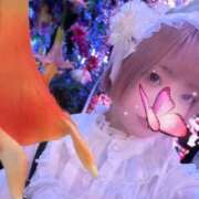 ヒメ日記 2025/03/22 00:29 投稿 伊波 いちごみるく（日本橋）