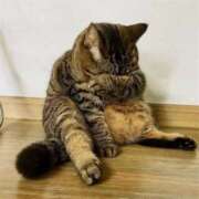 ヒメ日記 2025/05/16 16:59 投稿 伊波 いちごみるく（日本橋）