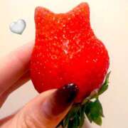 ヒメ日記 2025/05/23 15:59 投稿 伊波 いちごみるく（日本橋）