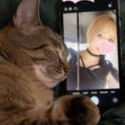 ヒメ日記 2025/07/01 18:29 投稿 伊波 いちごみるく（日本橋）