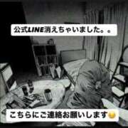 ヒメ日記 2025/11/20 17:09 投稿 伊波 いちごみるく（日本橋）