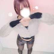 ヒメ日記 2026/01/11 12:19 投稿 伊波 いちごみるく（日本橋）