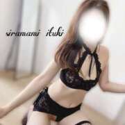 ヒメ日記 2026/01/17 06:51 投稿 白波いつき マダムと紳士