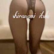 ヒメ日記 2026/03/05 11:01 投稿 白波いつき マダムと紳士