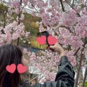 ヒメ日記 2025/03/30 13:29 投稿 笠井 いちごみるく（日本橋）