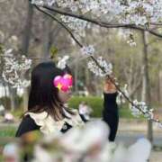 ヒメ日記 2025/04/05 15:39 投稿 笠井 いちごみるく（日本橋）