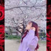 ヒメ日記 2025/04/01 14:29 投稿 愛沢 いちごみるく（日本橋）