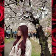 ヒメ日記 2026/04/10 17:19 投稿 愛沢 いちごみるく（日本橋）