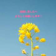 ヒメ日記 2025/04/05 13:02 投稿 まい 熟女の風俗最終章 宇都宮店