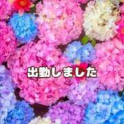 ヒメ日記 2025/06/24 14:11 投稿 まい 熟女の風俗最終章 宇都宮店