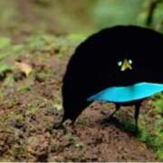 ヒメ日記 2025/08/17 13:11 投稿 まい 熟女の風俗最終章 宇都宮店