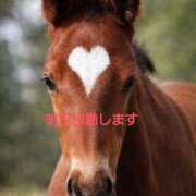 ヒメ日記 2026/01/04 19:32 投稿 まい 熟女の風俗最終章 宇都宮店