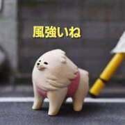 ヒメ日記 2026/03/08 13:02 投稿 まい 熟女の風俗最終章 宇都宮店