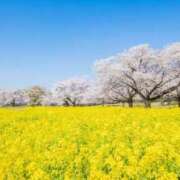 ヒメ日記 2026/04/06 12:51 投稿 まい 熟女の風俗最終章 宇都宮店