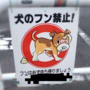 まい ⭐(´>ω∂`)⭐ﾃﾍﾍﾟﾛ    ってしてる 熟女の風俗最終章 宇都宮店