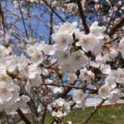 ヒメ日記 2025/04/13 11:03 投稿 りえ奥様【VIP】 金沢の20代30代40代50代が集う人妻倶楽部