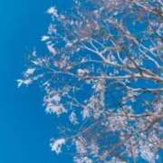 ヒメ日記 2025/01/23 18:16 投稿 高月(たかつき)奥様【VIP】 金沢の20代30代40代50代が集う人妻倶楽部