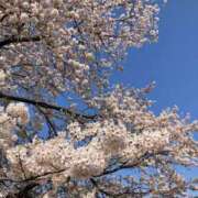 ヒメ日記 2025/04/17 09:33 投稿 高月(たかつき)奥様【VIP】 金沢の20代30代40代50代が集う人妻倶楽部