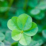 ヒメ日記 2025/06/16 09:33 投稿 高月(たかつき)奥様【VIP】 金沢の20代30代40代50代が集う人妻倶楽部