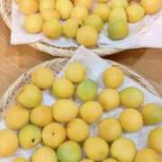 ヒメ日記 2025/06/19 09:42 投稿 高月(たかつき)奥様【VIP】 金沢の20代30代40代50代が集う人妻倶楽部