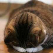 ヒメ日記 2025/08/07 11:54 投稿 高月(たかつき)奥様【VIP】 金沢の20代30代40代50代が集う人妻倶楽部