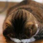 ヒメ日記 2025/10/12 10:03 投稿 高月(たかつき)奥様【VIP】 金沢の20代30代40代50代が集う人妻倶楽部