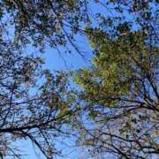 ヒメ日記 2025/11/12 14:33 投稿 高月(たかつき)奥様【VIP】 金沢の20代30代40代50代が集う人妻倶楽部