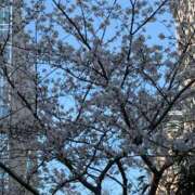 あお ☔️ 激安ドットコム