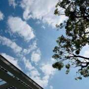 あお あつい！ 激安ドットコム