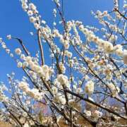 ヒメ日記 2025/03/14 19:58 投稿 りず 熟女の風俗最終章 八王子店