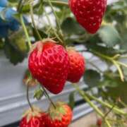 ヒメ日記 2025/04/06 03:23 投稿 りず 熟女の風俗最終章 立川店