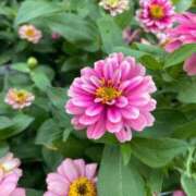 ヒメ日記 2025/04/25 22:03 投稿 りず 熟女の風俗最終章 立川店