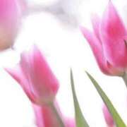 ヒメ日記 2024/12/09 21:02 投稿 新人・乃彩(のあ) グランドオペラ福岡