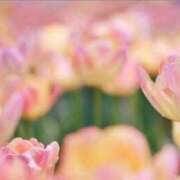 ヒメ日記 2024/12/09 22:44 投稿 新人・乃彩(のあ) グランドオペラ福岡