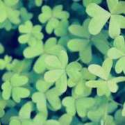 ヒメ日記 2024/12/10 01:01 投稿 新人・乃彩(のあ) グランドオペラ福岡