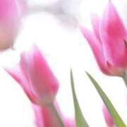 ヒメ日記 2024/12/10 18:32 投稿 新人・乃彩(のあ) グランドオペラ福岡