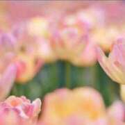 ヒメ日記 2024/12/11 00:04 投稿 新人・乃彩(のあ) グランドオペラ福岡