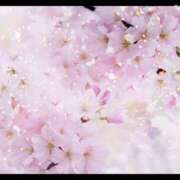 ヒメ日記 2026/04/26 11:26 投稿 りょうな【Dカップ】 ソープランド メイド館 ラ・メイド