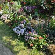 ヒメ日記 2025/04/09 10:02 投稿 ふうか 人妻小旅行